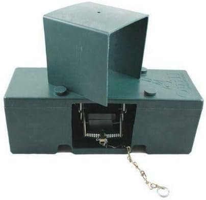Quill squirrel spring trap